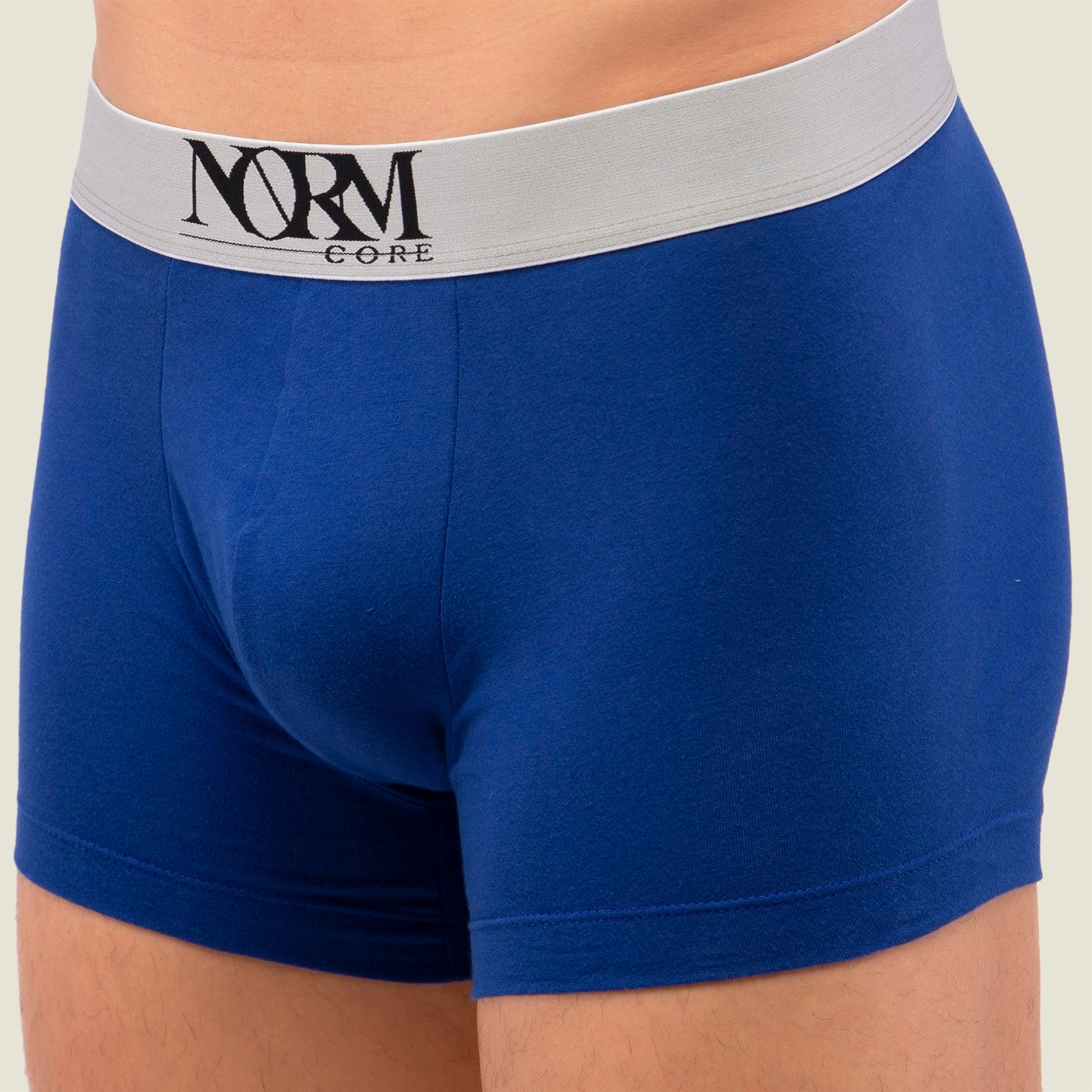 Normcore Cotton Innerwear - Blue Trunk with Silver Waistband Underwear