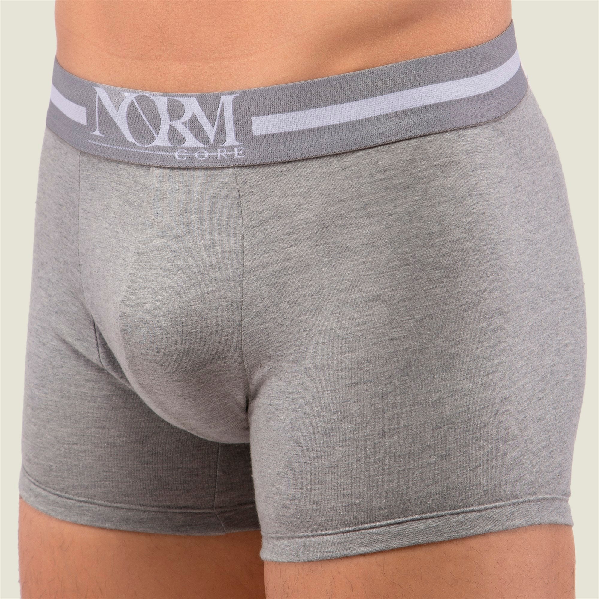 Normcore Cotton Innerwear - Grey Trunk with Grey Waistband Underwear